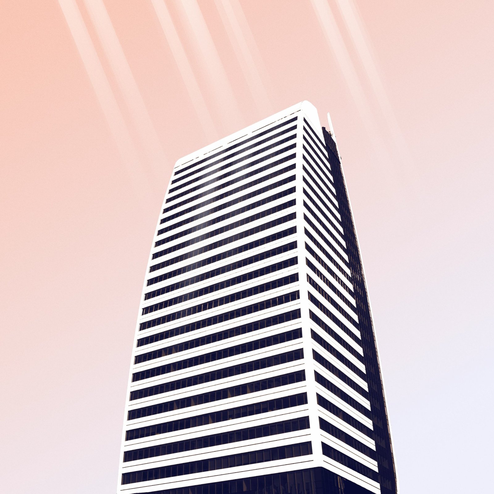 white and black building illustration